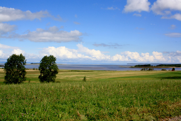 Horton Landing Gaspereau River