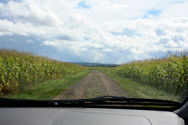 Corn Field Valley Nova Scotia Grande pre